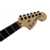 Fender Jim Root Stratocaster Ebony Fingerboard Flat Black